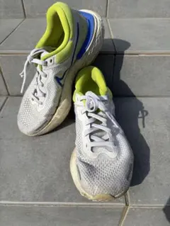 Nike インヴィンシブルラン