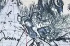 【新品】ディオールビューティリチュアルトートバッグセット♪