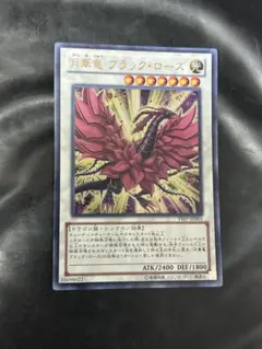 2026年最新】月華竜ブラックローズの人気アイテム - メルカリ