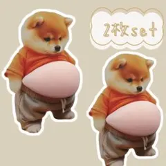 【2枚】　ぷにぷに　シール　おなか　立体シール　柴犬　ステッカー　スクイーズ