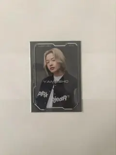 THERAMPAGE ランペ 山本彰吾 フォトカード サイヘリ