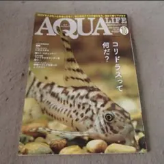 月刊 アクアライフ 2020 10 No.495 エムピージェー コリドラス