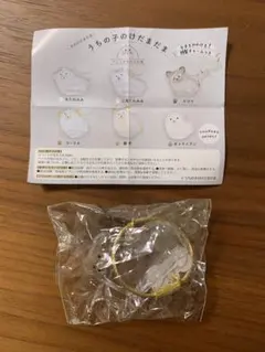 うちの子のけだまだま 犬 三角たれみみ