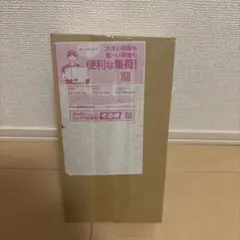 【新品未開封】ポケモンセンター トウホク スペシャルBOX