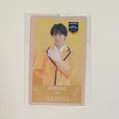 2025年最新】岩尾春輝の人気アイテム - メルカリ