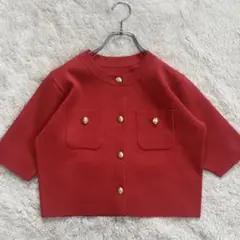 未使用級・25SS✨ナチュラルビューティー　エンブレムボタンニットジャケット半袖