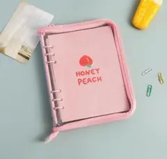 Item thumbnail for item b82ec8d5-c89d-468d-a73f-a348ff66c7f7