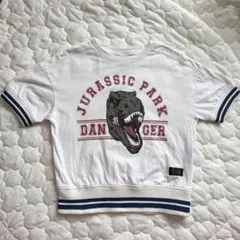 バースデイ 半袖 Tシャツ ジュラシックパーク 男の子 4歳 恐竜 ダイナソー
