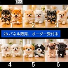 28.パネル生地販売＆オーダー受付中〜トイプードル マルチーズ 柴犬