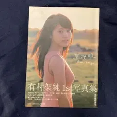 有村架純 タレント写真集