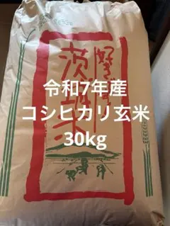 ☆ 令和7年 青森県産 はれわたり 玄米〈30kg〉 - メルカリ