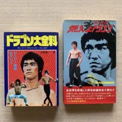 絶版激レア 美品 ブルース・リーの