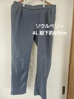 ソウルベリー 4L ブルーグレー はきやすい 動きやすい パンツ