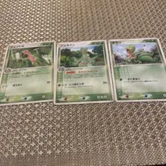 ポケモンカードADVジュカイン ジュプトル キモリ 1ed 強化拡張パック
