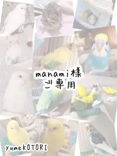 Item thumbnail for item 42c3f4d4-61e8-4e71-8742-1c1008930b7f