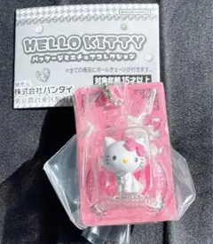 ハローキティ　パッケージミニチュアコレクション 　チャーミーキティver.