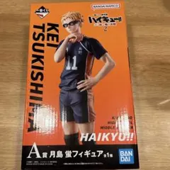 ハイキュー!!一番くじ A賞 月島蛍