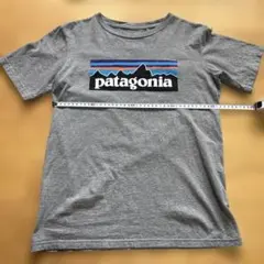 patagonia グレー Tシャツのサムネイル