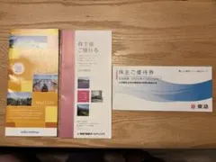 西武ホールディングス、東急、東急不動産ホールディングス株主優待