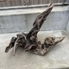 Item thumbnail for item 4f0f6d57-ae7b-4a17-9495-24afa9b85a59