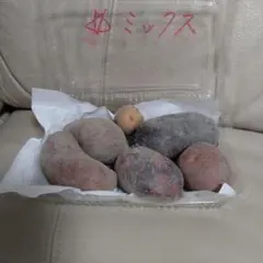 감자씨 감자믹스 모듬 무농약 감자