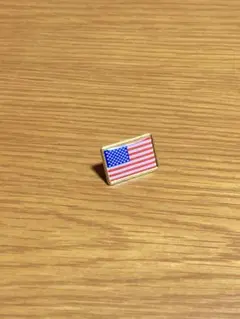 【非売品】大阪関西万博2025 USA パビリオン アメリカ館 ピンバッジ