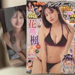 ヤングアニマル 2025年12月号 花咲楓香