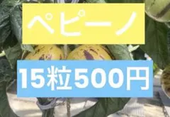 ペピーノ種のサムネイル