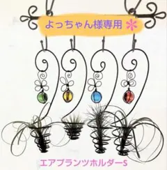 ワイヤークラフト ☆よっちゃん様専用 エアプランツホルダーS