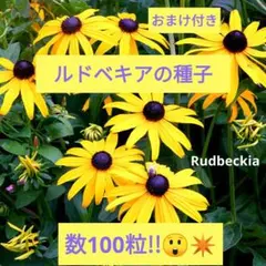 こなつ様 リクエスト 2点 まとめ商品