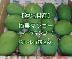 2026年最新】摘果マンゴーの人気アイテム - メルカリ
