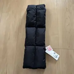 Item thumbnail for item d310d380-be95-49f9-bf92-f14a76202d01