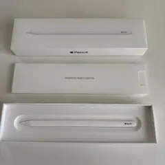 純正品 Apple Pencil (2nd generation)