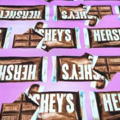 HERSHEY'Sミルクチョコレート柄の生地　パープルのサムネイル