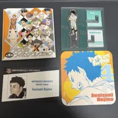 ハイキューファンパーク アクリルフィギュアコレクション 名刺カード 岩泉一