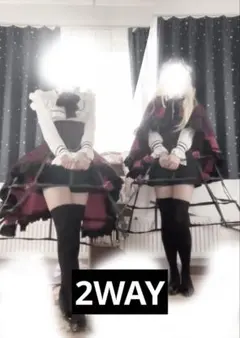 Fate strange fake フランチェスカ コスプレ ウィッグ セット済 - メルカリ