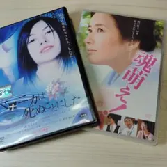 想い出のアニメライブラリー 第24集 さくらももこ劇場 コジコジ DVD-BO
