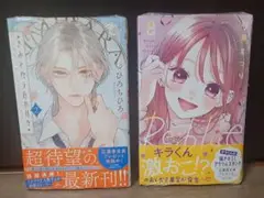 きみとバラ色の日々2巻　Re:blue 8巻