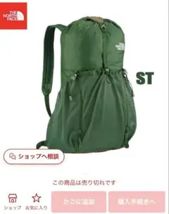 完全売り切れ　完売新品未使用THE NORTH FACEスタッフパック