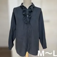 シャンナ フロントフリル 長袖ブラウス プルオーバータイプ