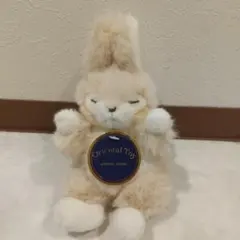 2026年最新】オリエンタルトーイ うさぎの人気アイテム - メルカリ