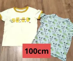 【美品】ユニクロ　Tシャツ まとめ売りノラネコモンポケ 100cmのサムネイル