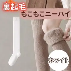 裏起毛　オーバーニー　靴下　レディース　フリーサイズ　防寒　ニーハイ　極暖セット