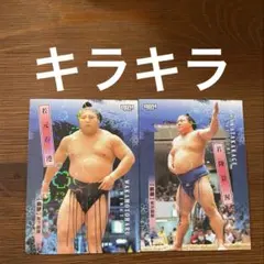 2026年最新】若隆景 カードの人気アイテム - メルカリ