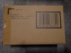 S.H.Figuarts（真骨頂製法）仮面ライダー2号／一文字隼人　新品