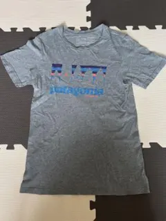 2026年最新】パタゴニア usa製 黒タグ tシャツの人気アイテム - メルカリ