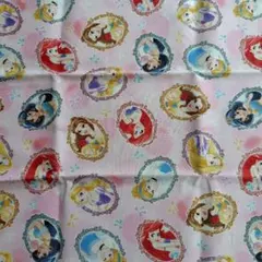 ディズニープリンセス柄生地 はぎれ 約50cm幅