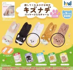 キズナデ パッケージ入りチャーム トイプードル ビションフリーゼ