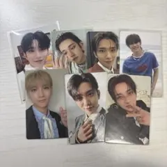 ジョシュア まとめ売り