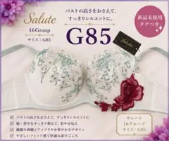 Wacoal ルジェ G85 繊細レース 花柄刺繍ブラジャー 新品タグつき